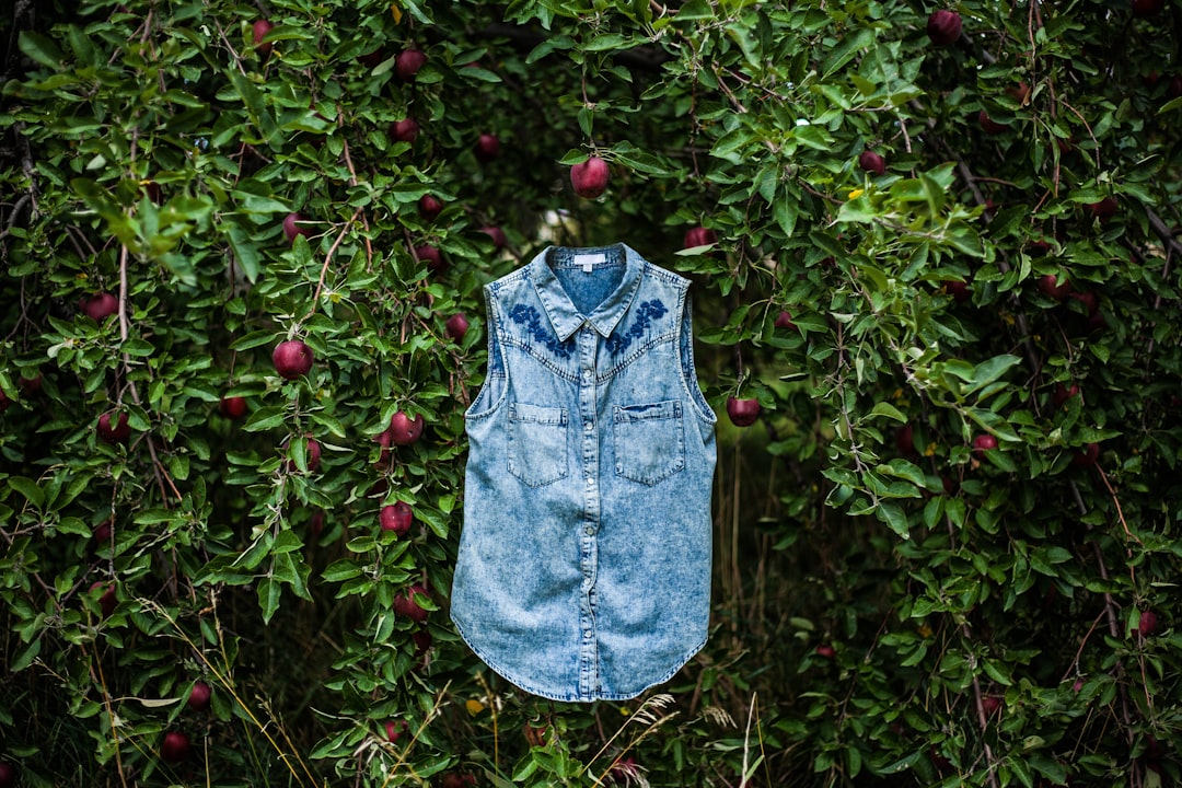 Photo denim vest